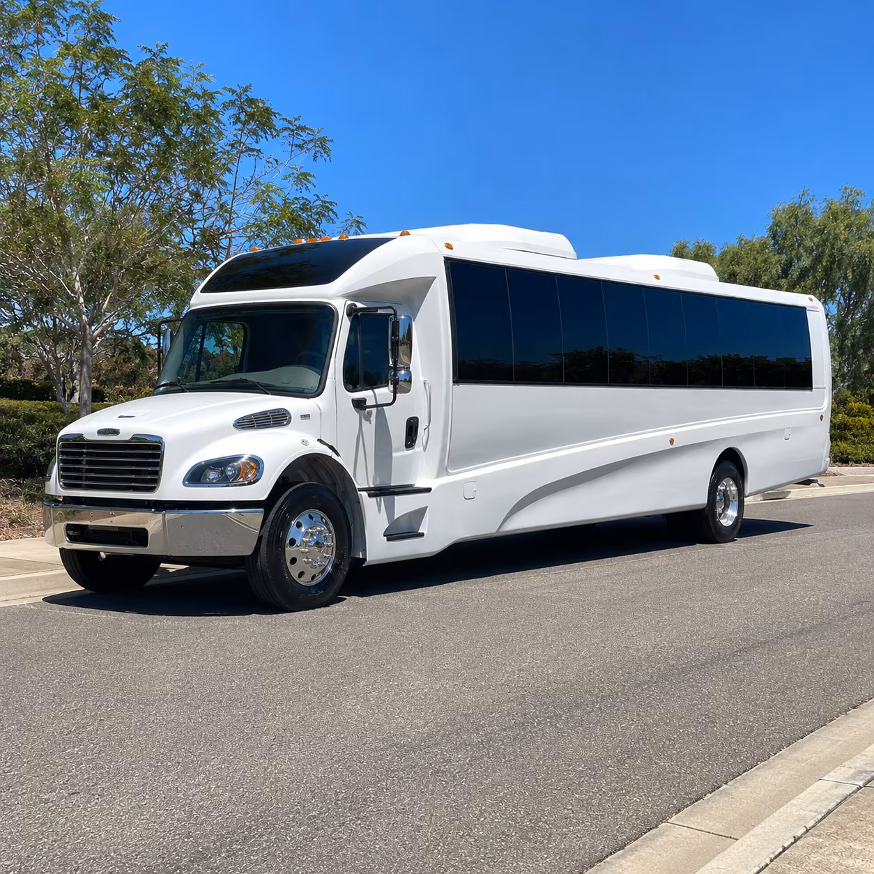 blue springs 15 passenger minibus
