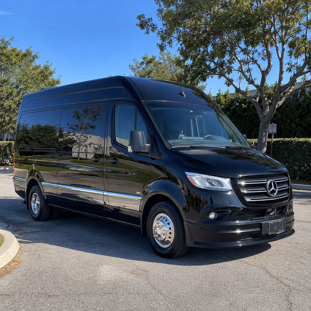 blue springs sprinter limousine