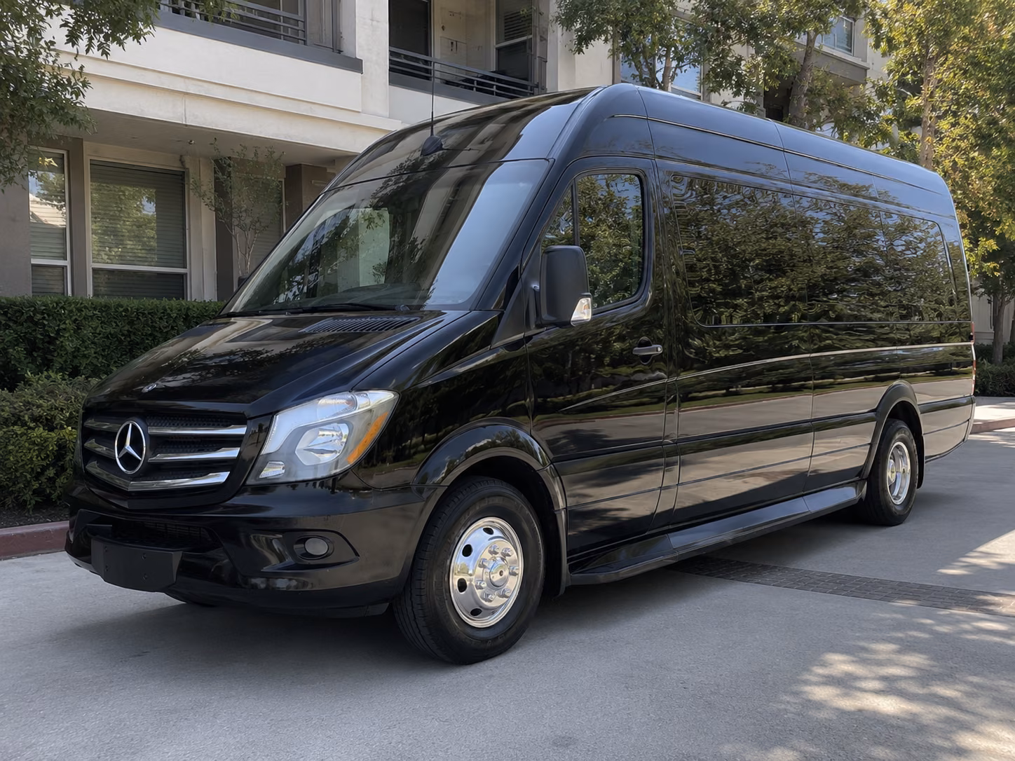blue springs sprinter van with driver